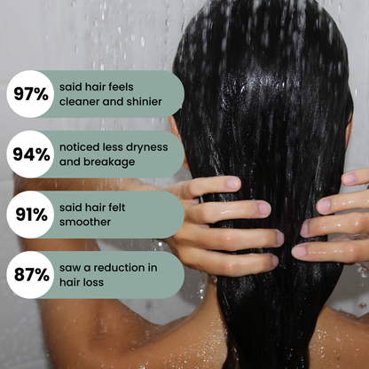 The Filtered Shower Head