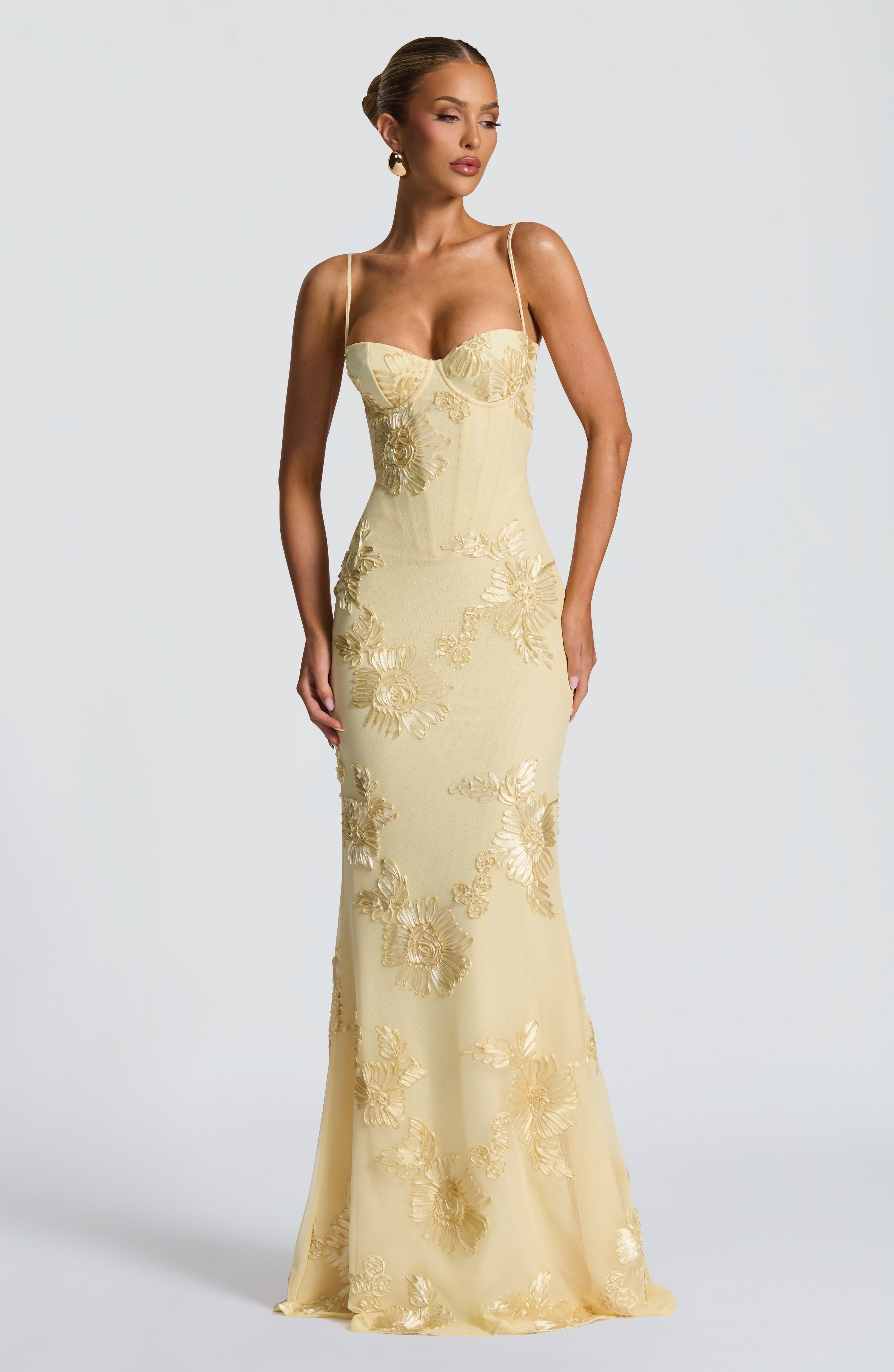 Cosette Mesh Maxi Dress