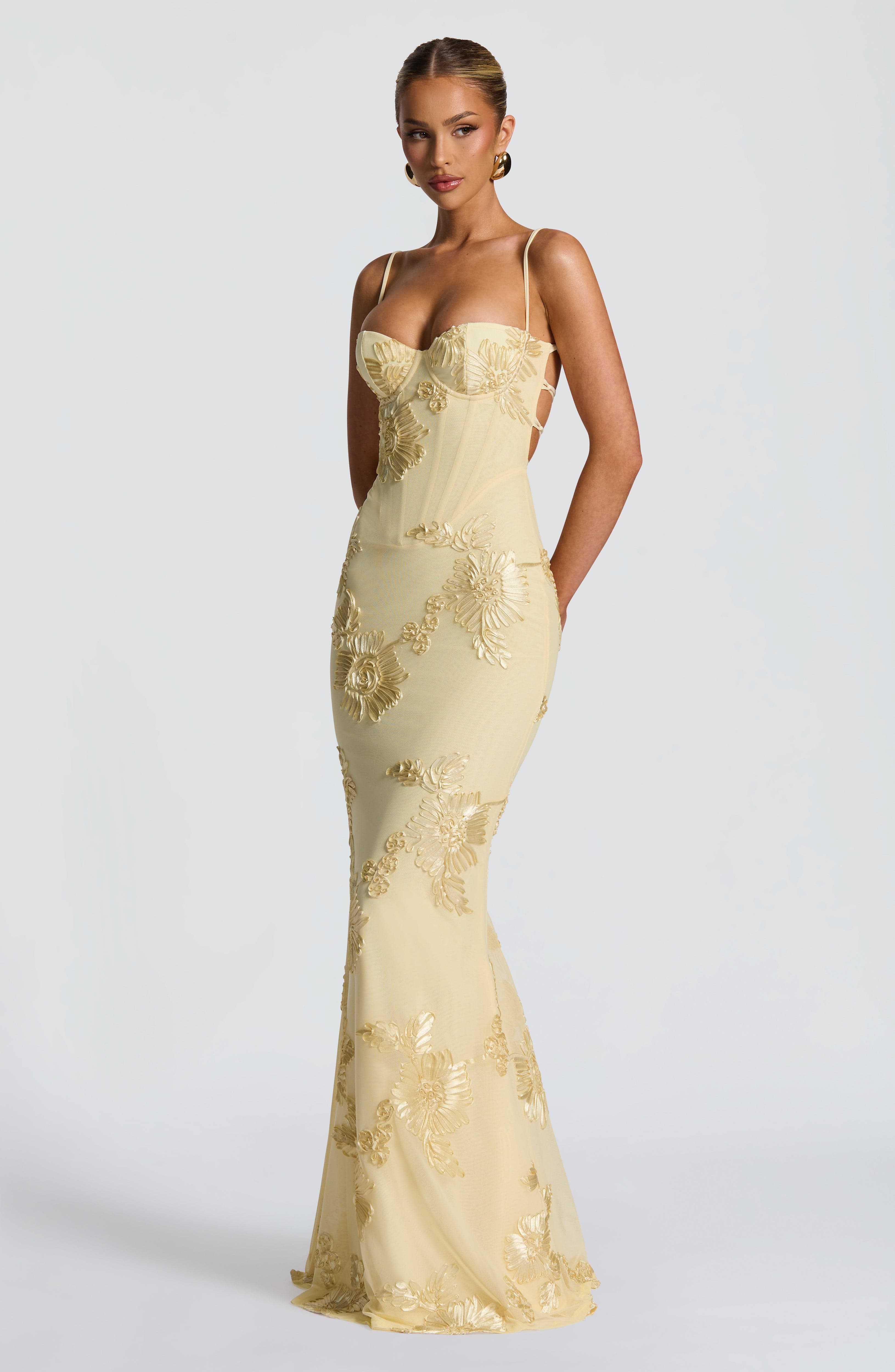 Cosette Mesh Maxi Dress