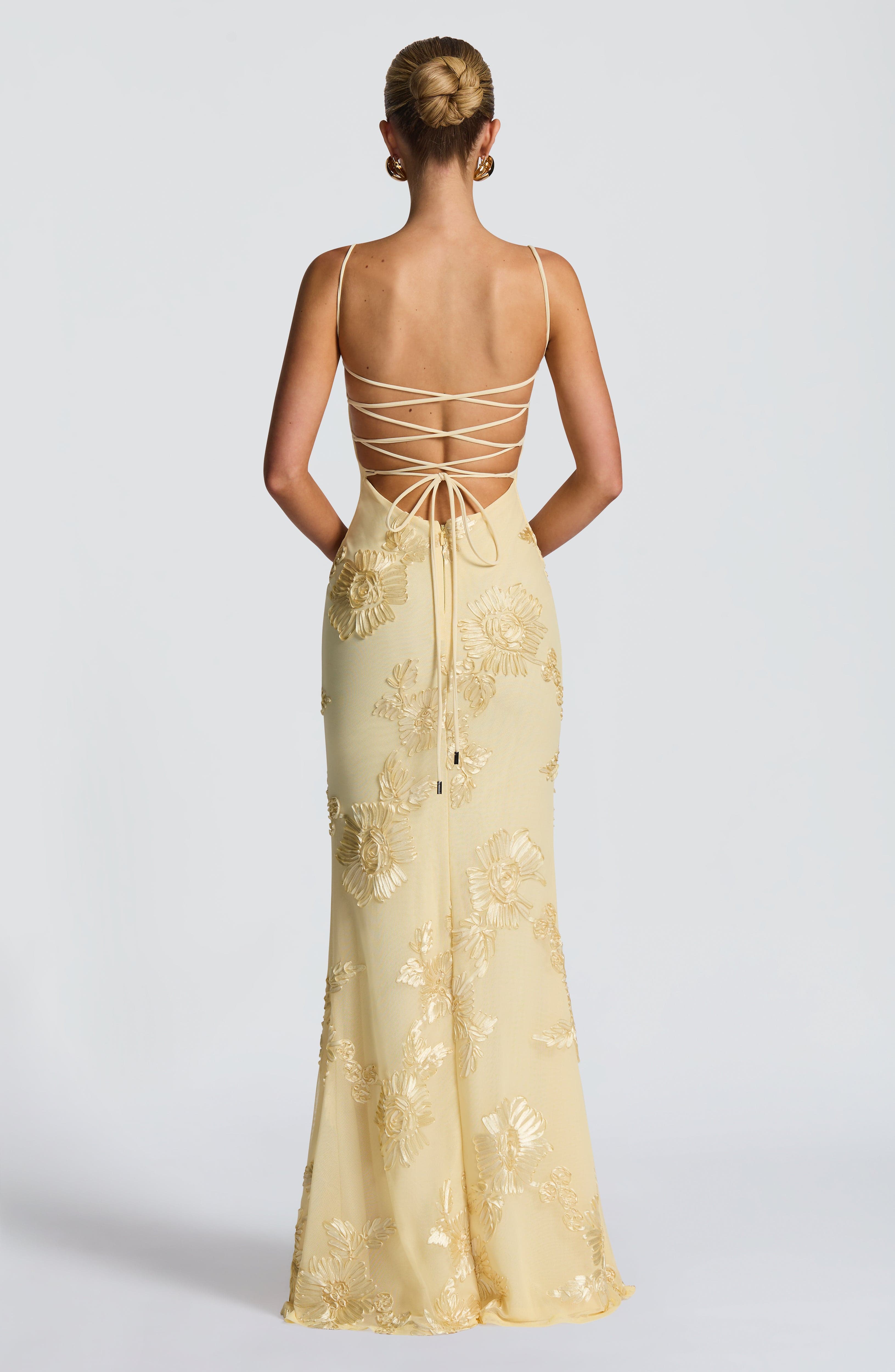 Cosette Mesh Maxi Dress