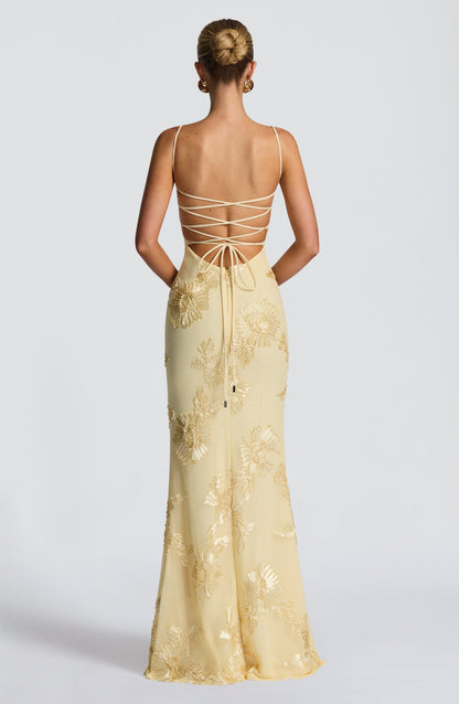 Cosette Mesh Maxi Dress