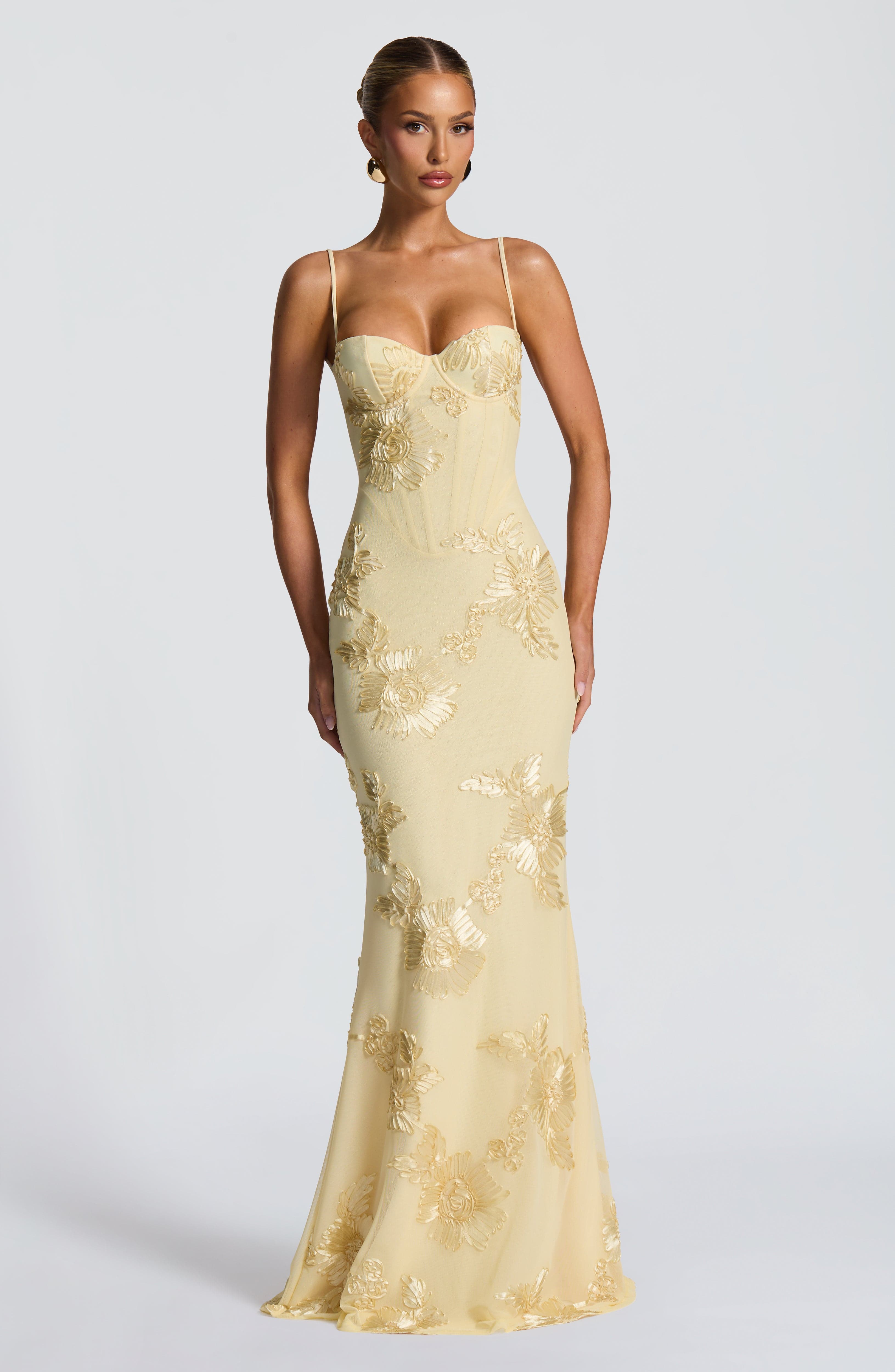 Cosette Mesh Maxi Dress