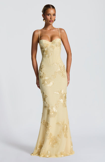 Cosette Mesh Maxi Dress