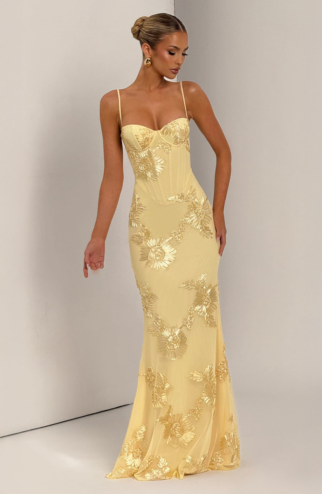 Cosette Mesh Maxi Dress