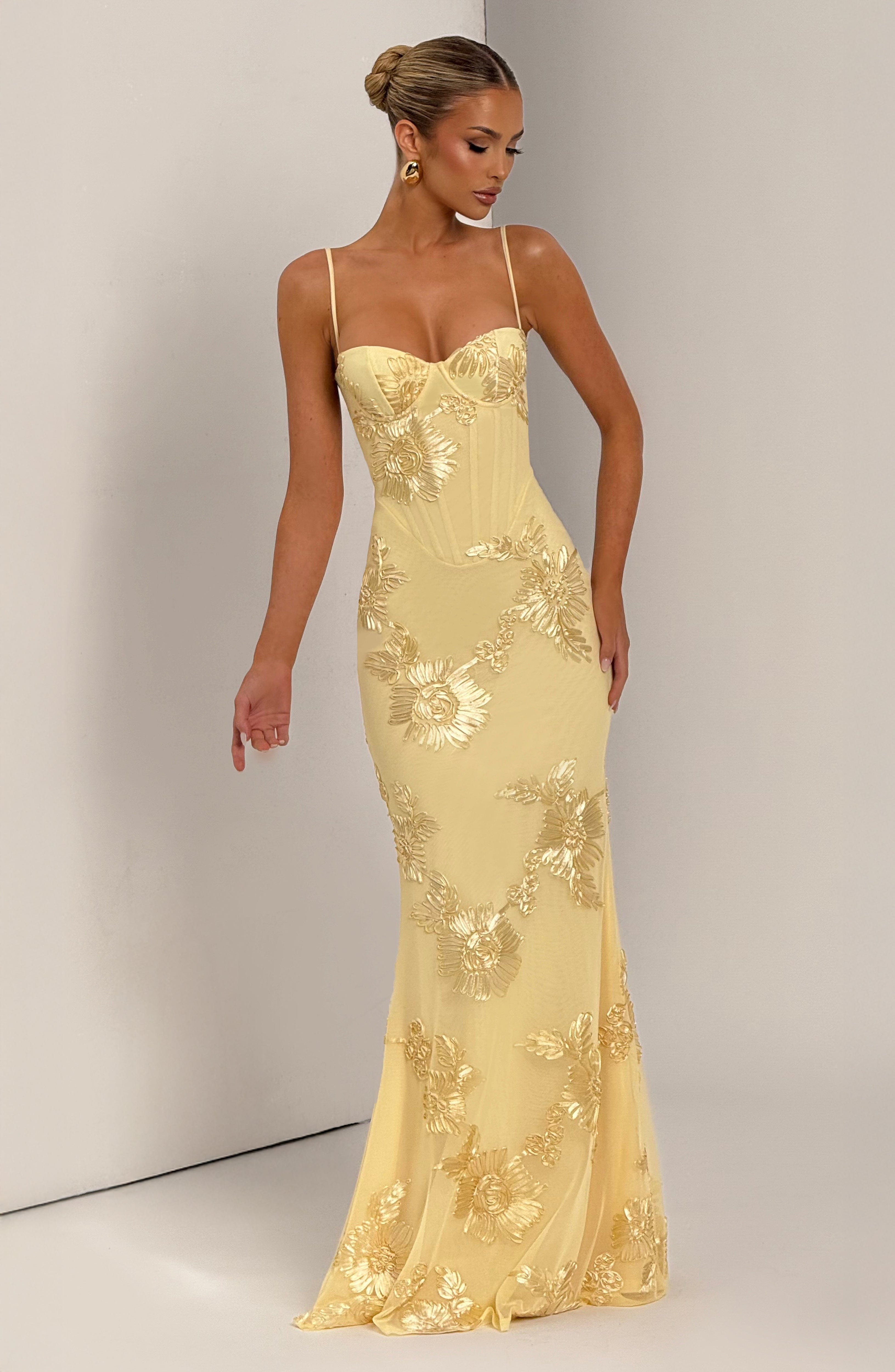 Cosette Mesh Maxi Dress