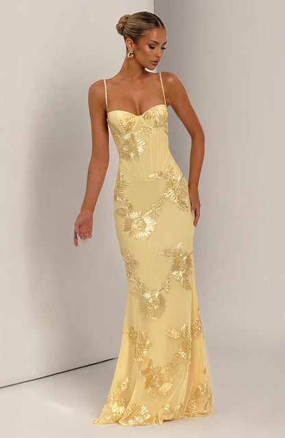 Cosette Mesh Maxi Dress